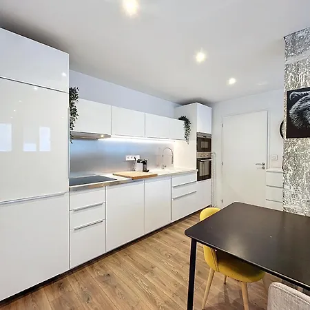 Hypercentre, Agreable T2 Style Loft , Fibre Apartment Grenoble